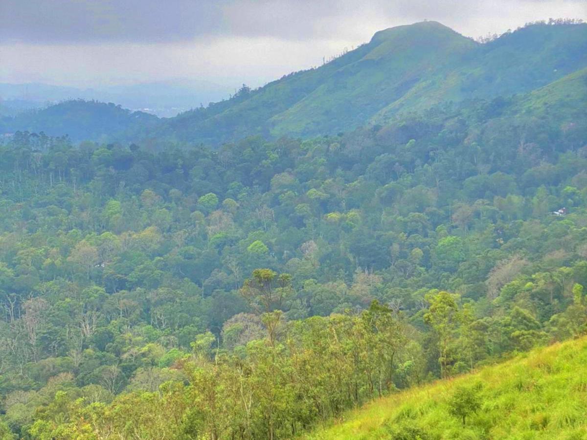 The Windy Mist Resort Munnar Chinnakanal ภายนอก รูปภาพ